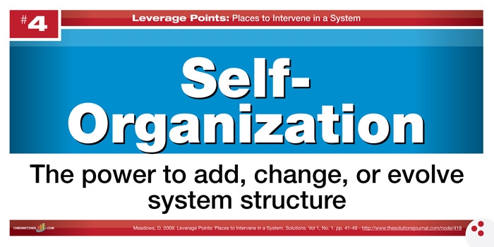 Leverage Points - Self-Organization