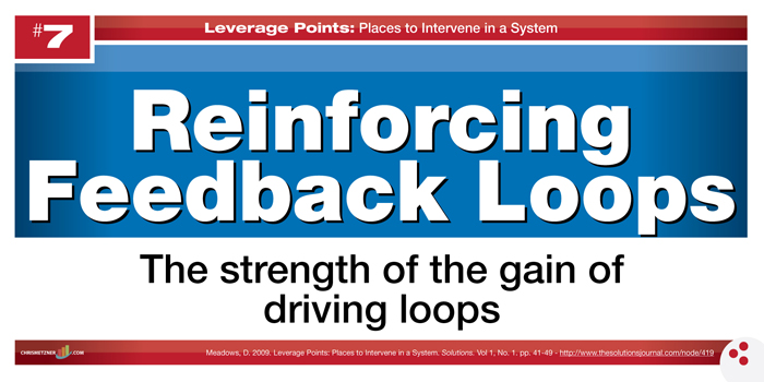 Leverage Points - Reinforcing Feedback Loops